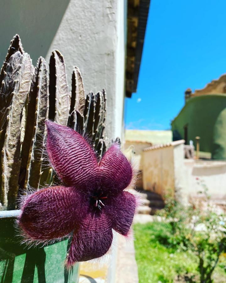 El Convento De Tilcara Bed & Breakfast ภายนอก รูปภาพ