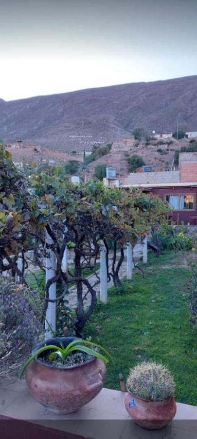 El Convento De Tilcara Bed & Breakfast ภายนอก รูปภาพ